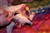 Mystic Topas 1 1d.JPG